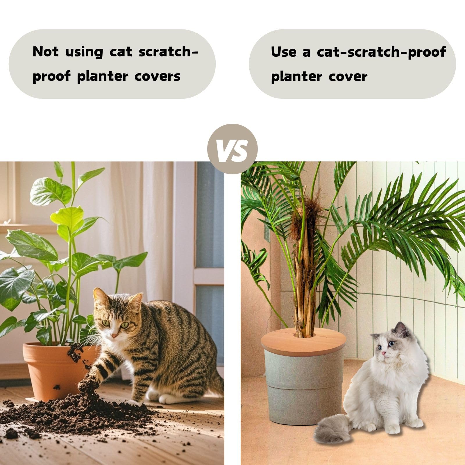 Amazon.com : QUTIING 13.7 Inch Plant Pot Grid from Animals, Wooden Plant Pot  Cover, Indoor Plant Protector from Cats, Flowerpot Decorative Cover. :  Patio, Lawn & Garden