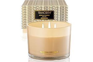 Luxury Coconut Soy Candle: The Epitome of Beauty for Your Home