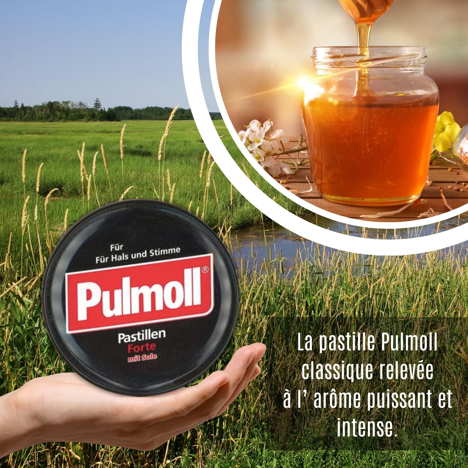 Barquette Pulmoll x10 | Format économique | Depuis 1946 (Forte)