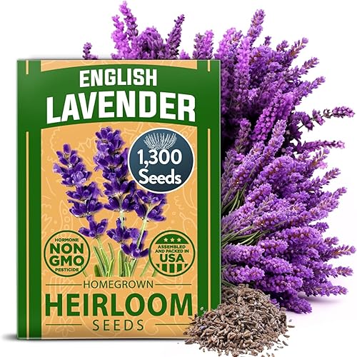 Miniatura 2 de HOME GROWN Semillas prémium de lavanda inglesa, manzanilla alemana y romero