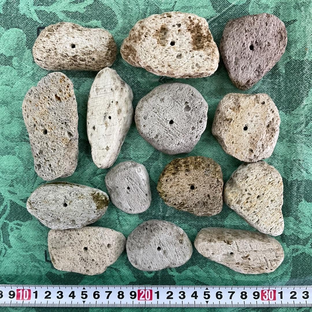 Amazon.co.jp: R061503軽石鉢 薄型 14点セット夏の. : おもちゃ