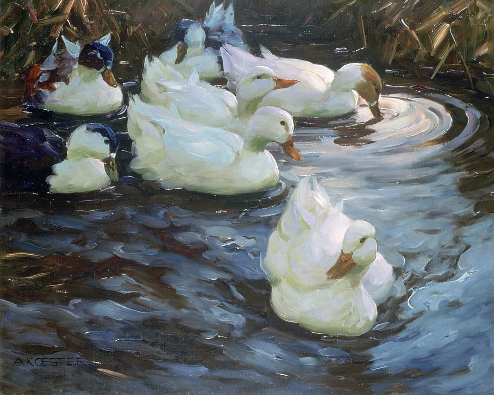 SERENDIPITP Vintage Picture Print on Canvas Wall Art Poster Ducks on a Pond by Alexander Koester Artwork Print Poster for Wall Decor 60x90cm