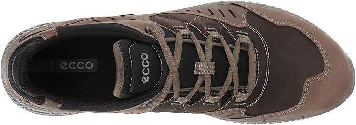 ecco terrawalk review