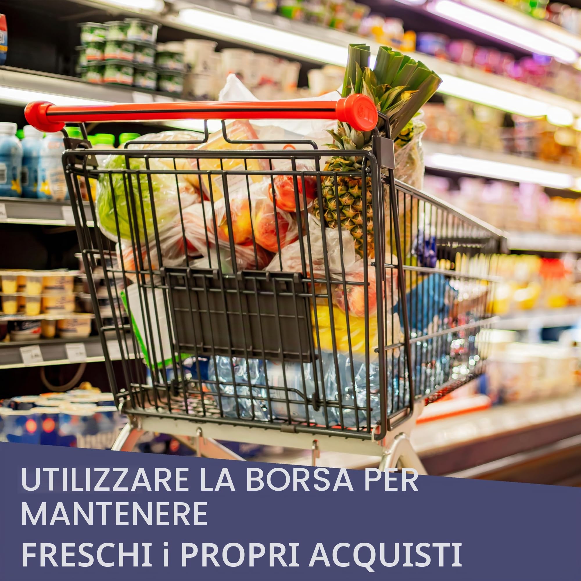 Vaily Borsa termica pieghevole 30 l per auto spiaggia viaggio frigo pranzo picnic campeggio