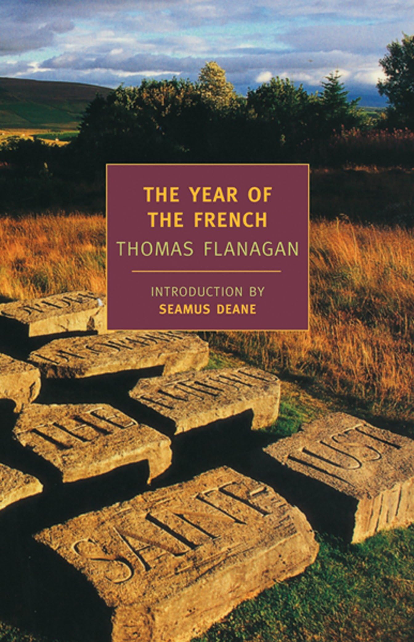The Year of the French by Thomas Flanagan, Seamus Deane - 9781590171080