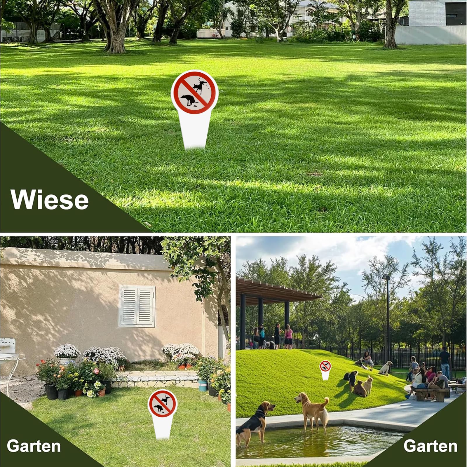 Cartello Divieto di Cacca e Pipì per Cani 29x14 cm, Segnale per Giardini, Parchi, Aree Giochi e Ingressi, Realizzato in PVC Rigido e Resistente alle Intemperie