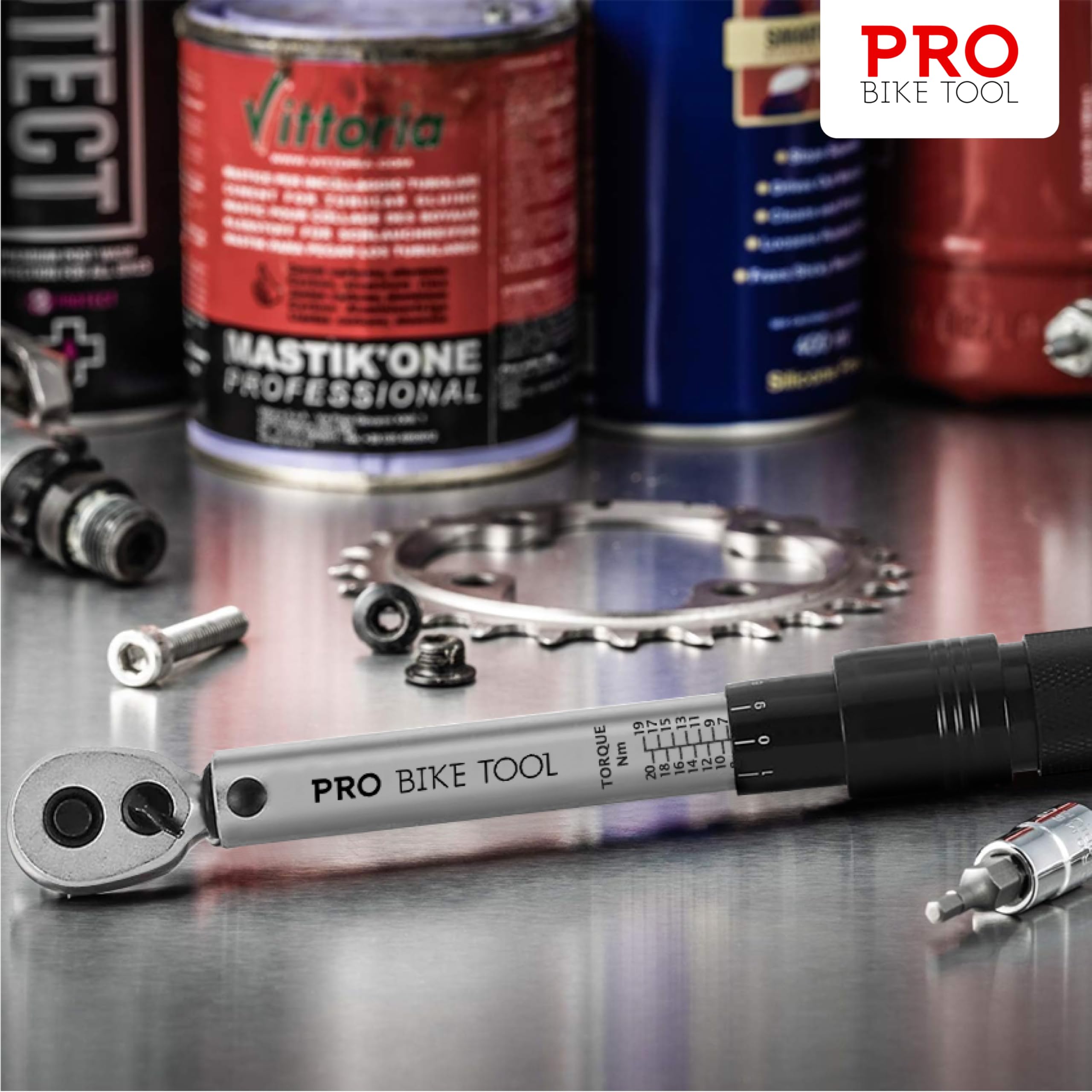 PRO BIKE TOOL Set Chiavi Dinamometriche 1/4" - 2-20 Nm - Kit Chiavi Torx e Brugola con Barra Estensione e Scatola - Chiave Dinamometrica per Bici Auto Moto - Accessori Bicicletta e Dinamometro