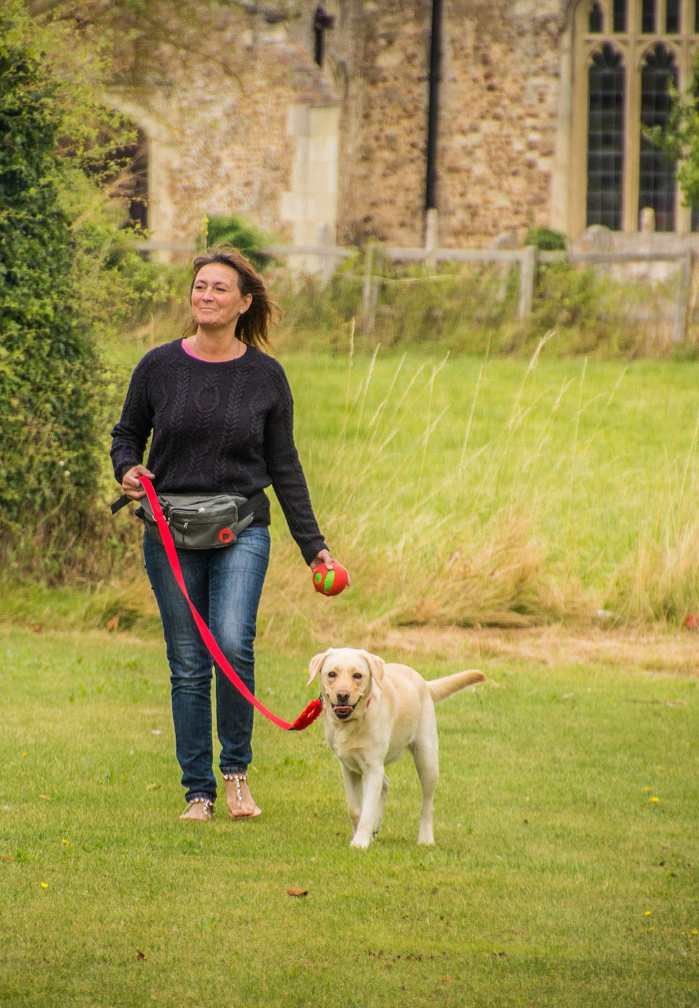 Petface(Outdoor Paws by Petface) Dog Walkers Bum Bag, Black, 15 x x  cm