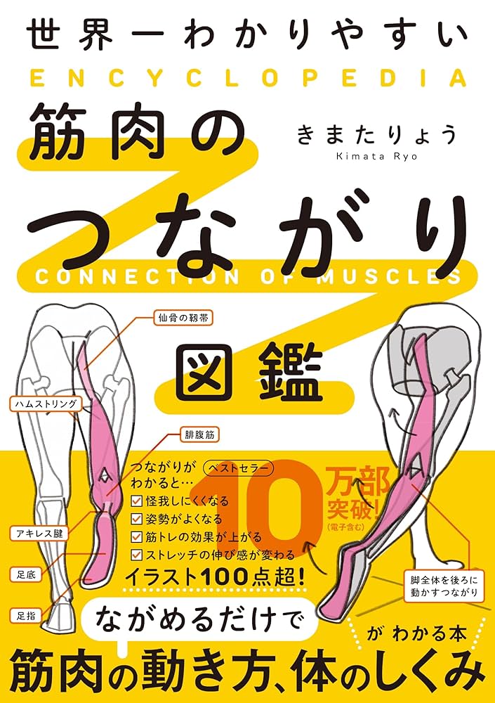 Amazon.com: 世界一わかりやすい 筋肉のつながり図鑑