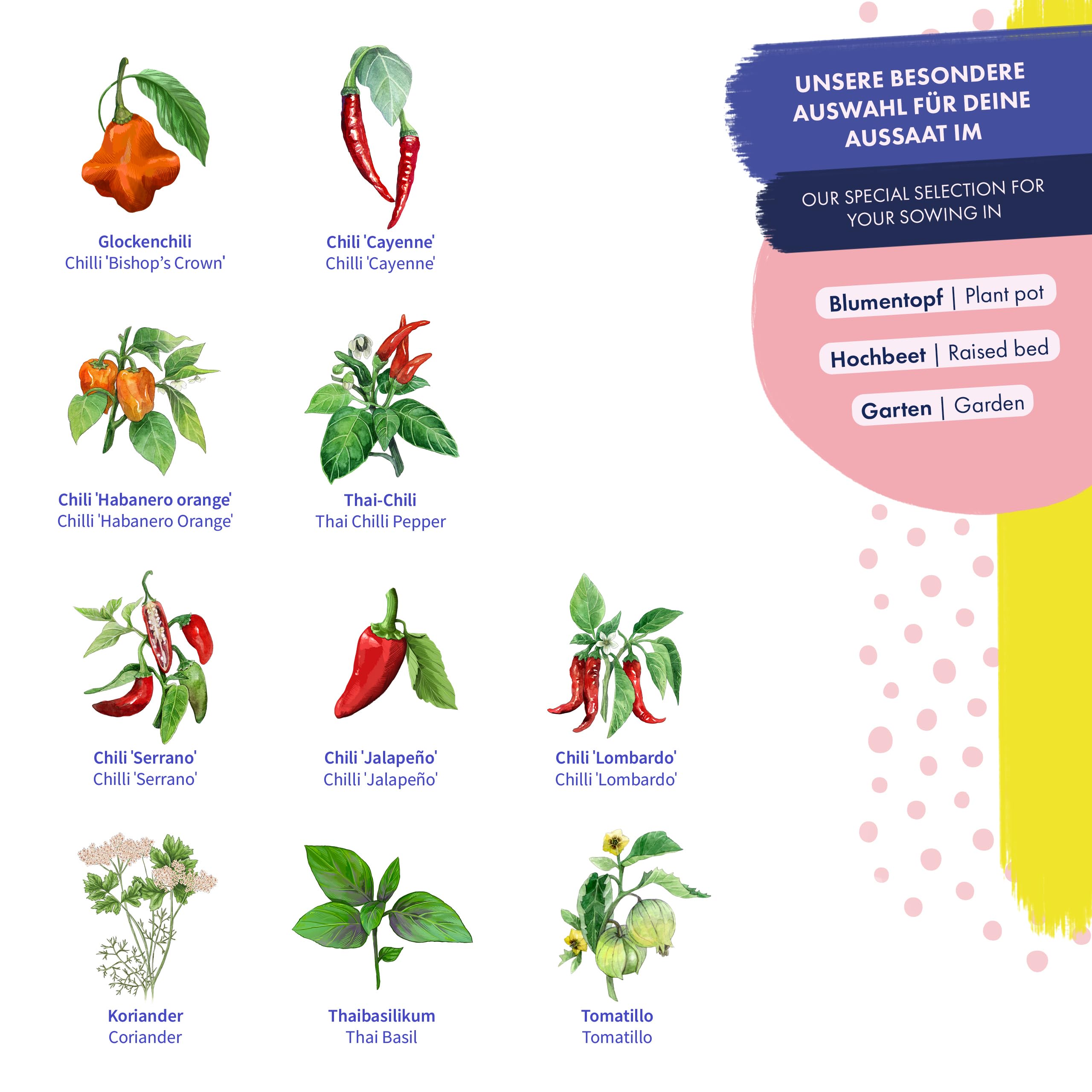 Chilis & Friends - 10 odpornych na nasiona odmian chili i ziół - egzotyczne i pikantne - zestaw nasion na mały prezent lub do użytku osobistego
