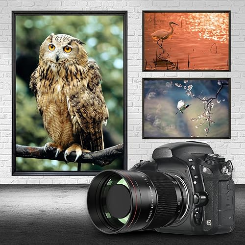 Miniatura 2 de Lightdow Lente espejo reflejo de teleobjetivo de 19.685 in f7.5 para Nikon D850 D810 D800 D750 D700 D300 D3100 D3200 D3300 D3400 D5100 D5200 D5300