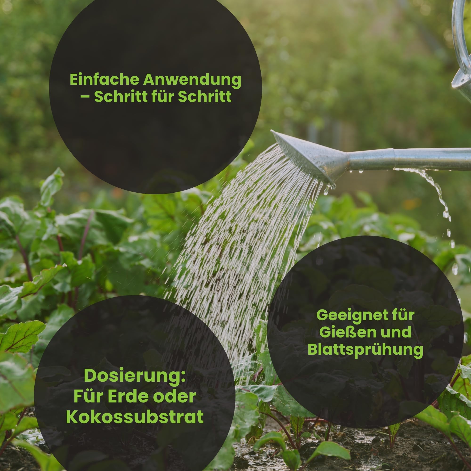 Starter Kit Mykoriza organischer Dünger Pflanzendünger 5-teiliges Set Gemüse Kräuter Blumen