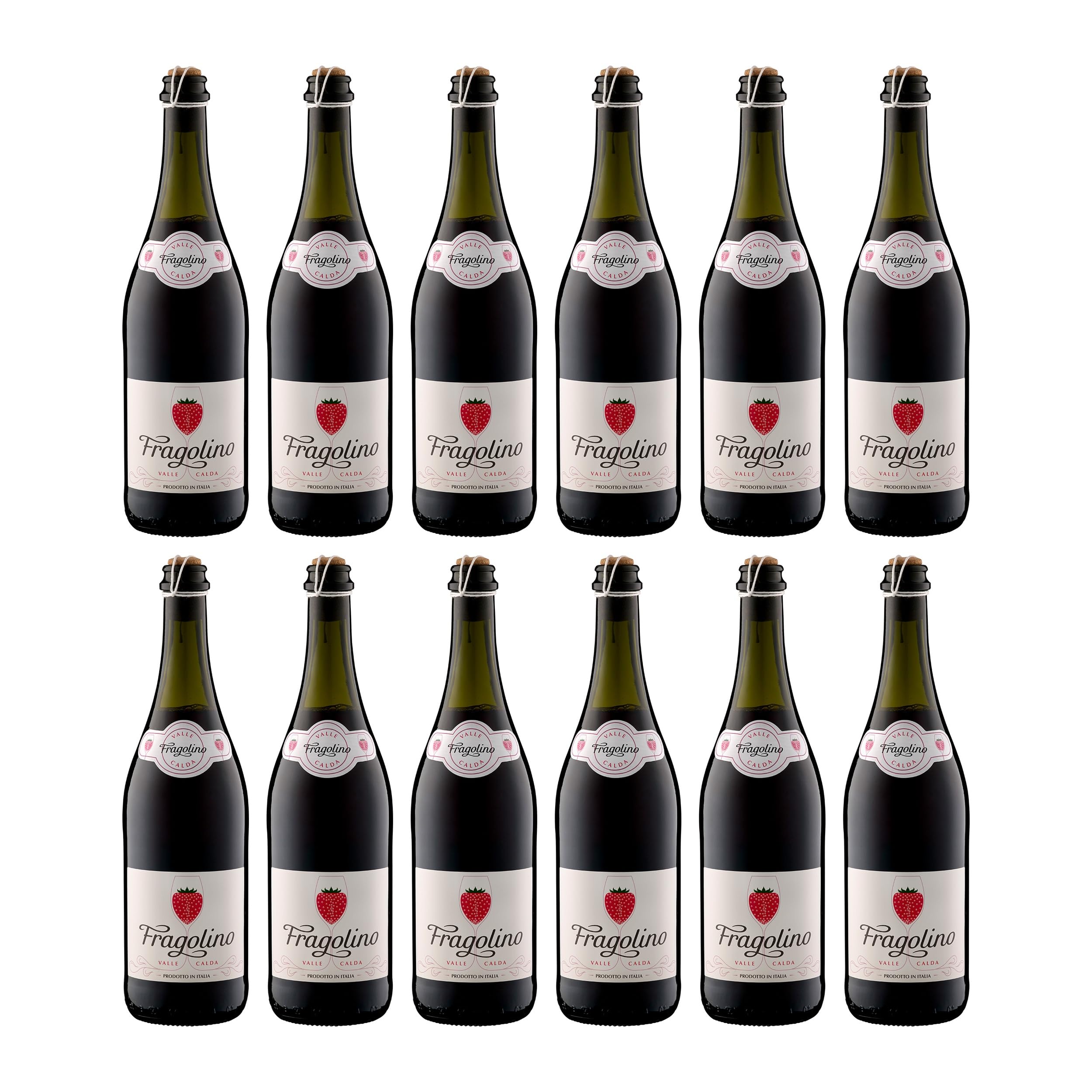 Decordi Fragolino Rosso Valle Calda Schaumwein süss Italien inkl. FeinWert E-Book (12 x 0.75 l)
