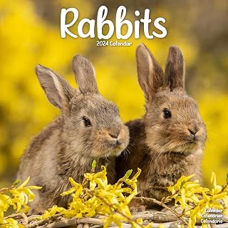 Rabbits Calendar 2024 Square Animal Wall Calendar - 16 Month