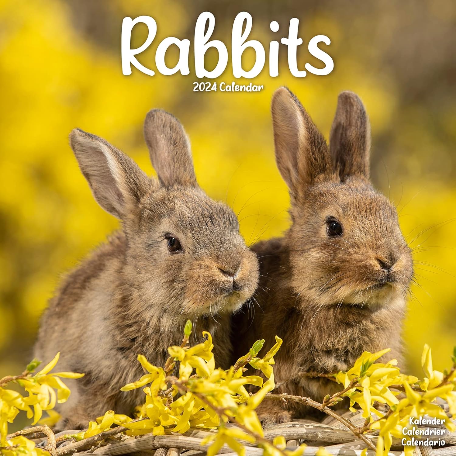 Amazon Rabbits 2024 Calendar Avonside Publishing Ltd 輸入版カレンダー