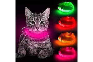 Bseen Light-Up Dog Collar