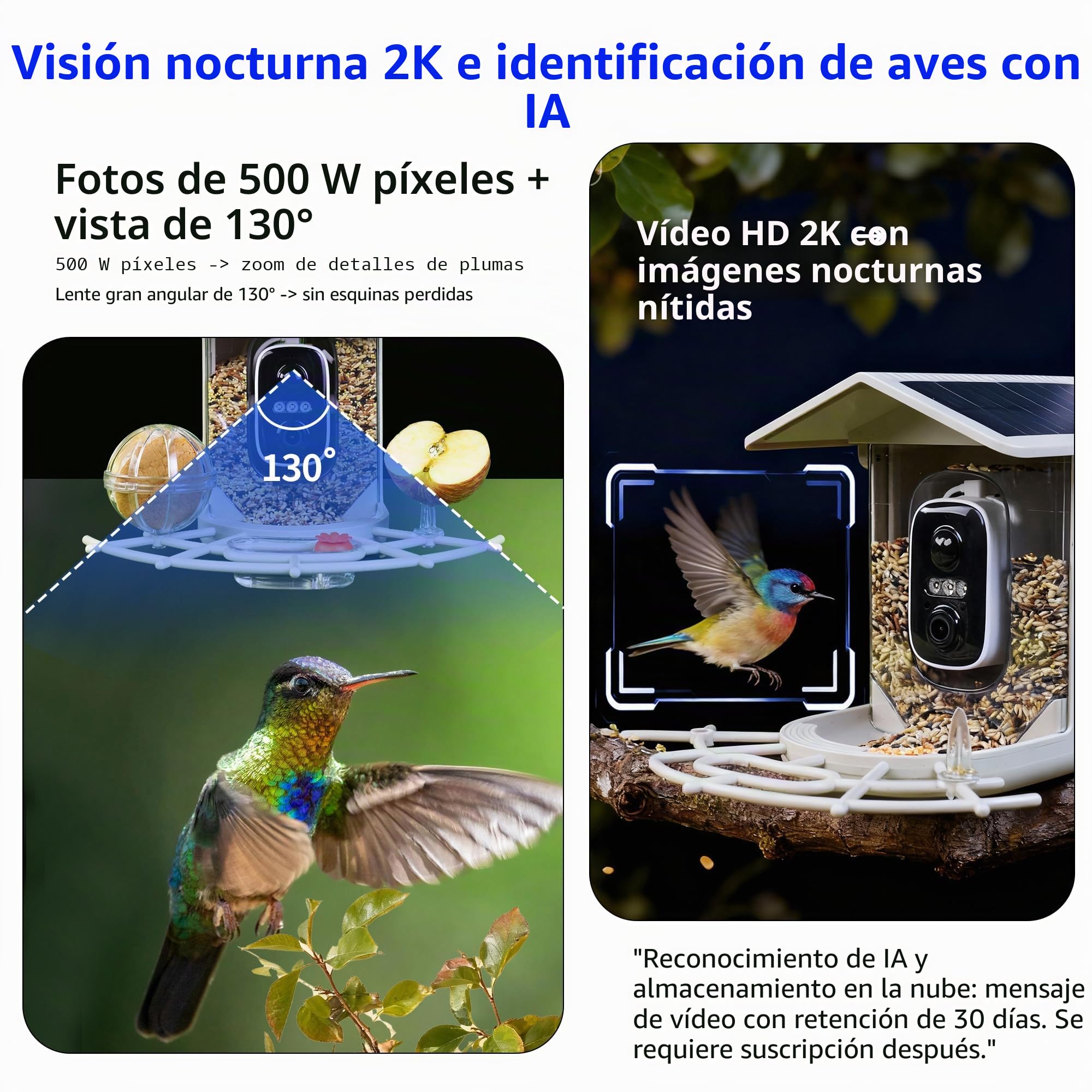Origem Comedero Pajaros Exterior Paja de Trigo,1,7 L Solar Comedero Pajaros Camara,Prima SD de 64 GB,Impermeable IP65, Visión Nocturna 2K HD, AI Identifica 10000+ Pájaros, Notificación Instantánea