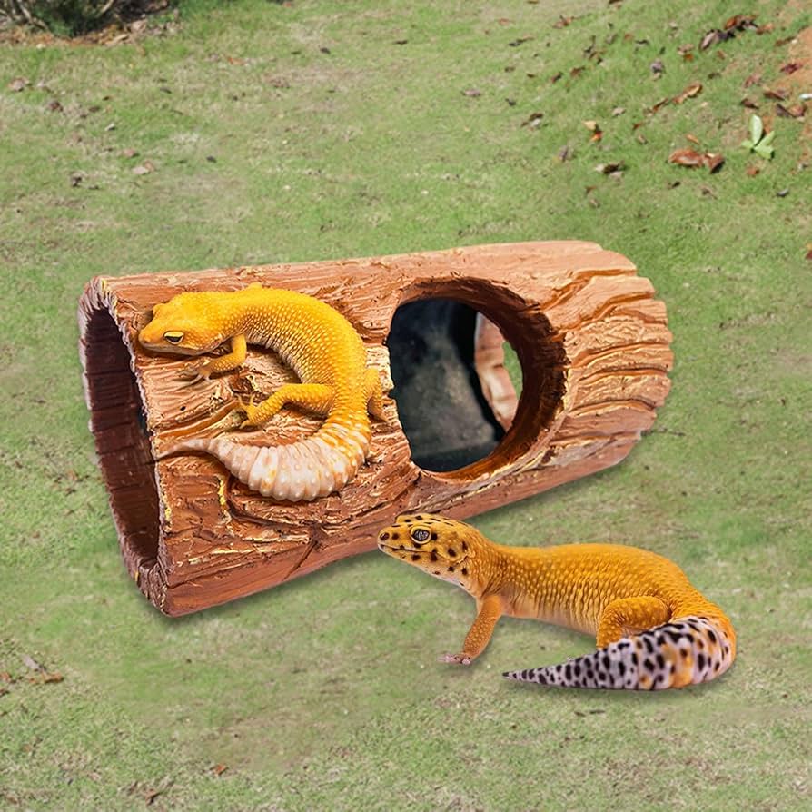 爬虫類　シェルター　2個 Amazon | heizi ウェットシェルター 爬虫類 シェルター 2個