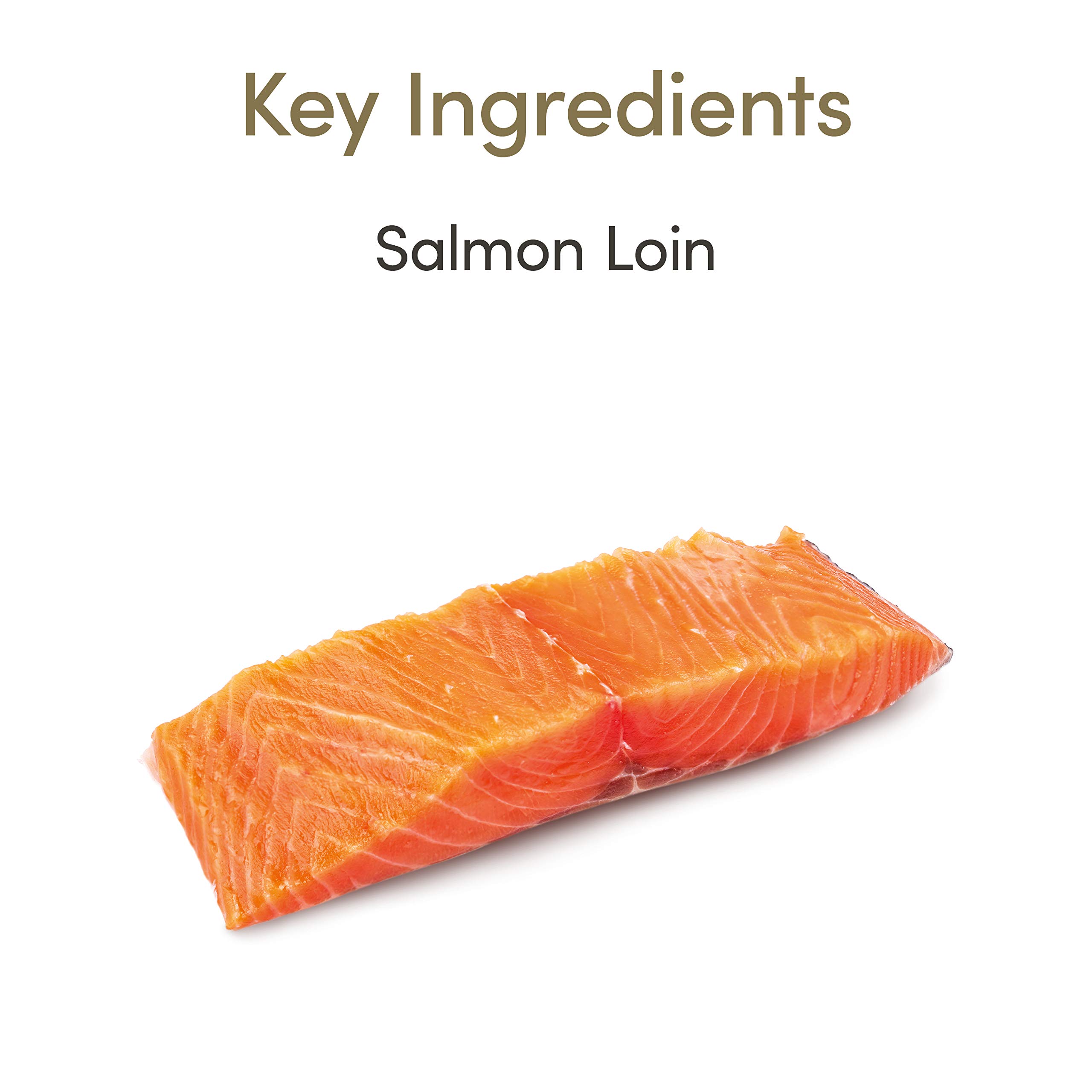 Applaws 100% Natürliche Katze Behandeln Ganze Lachs Lende 12 x 30g Beutel + Applaws natürlich Katzenleckerli, Ganzer Thunfisch Loin Katzensnack, 30g Beutel (Packung mit 12 Beuteln)