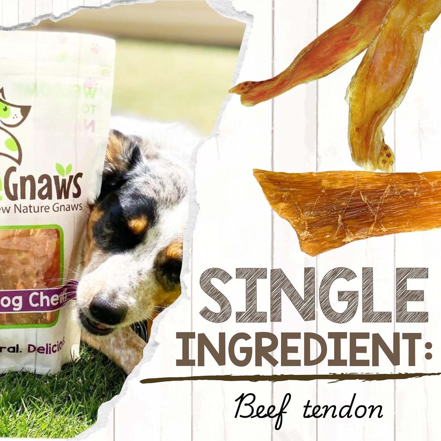 Nature Gnaws Beef Tendons for Dogs (1Lb) - Mixed Thickness - Long Lasting for Small and Medium Dogs - Natural Beef Jerky Dog Chew Bones - Rawhide Free