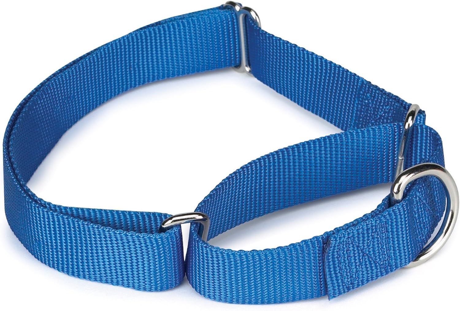 Guardian Gear Nylon Martingale Dog Collar, Fits Necks 14" to 20", Blue