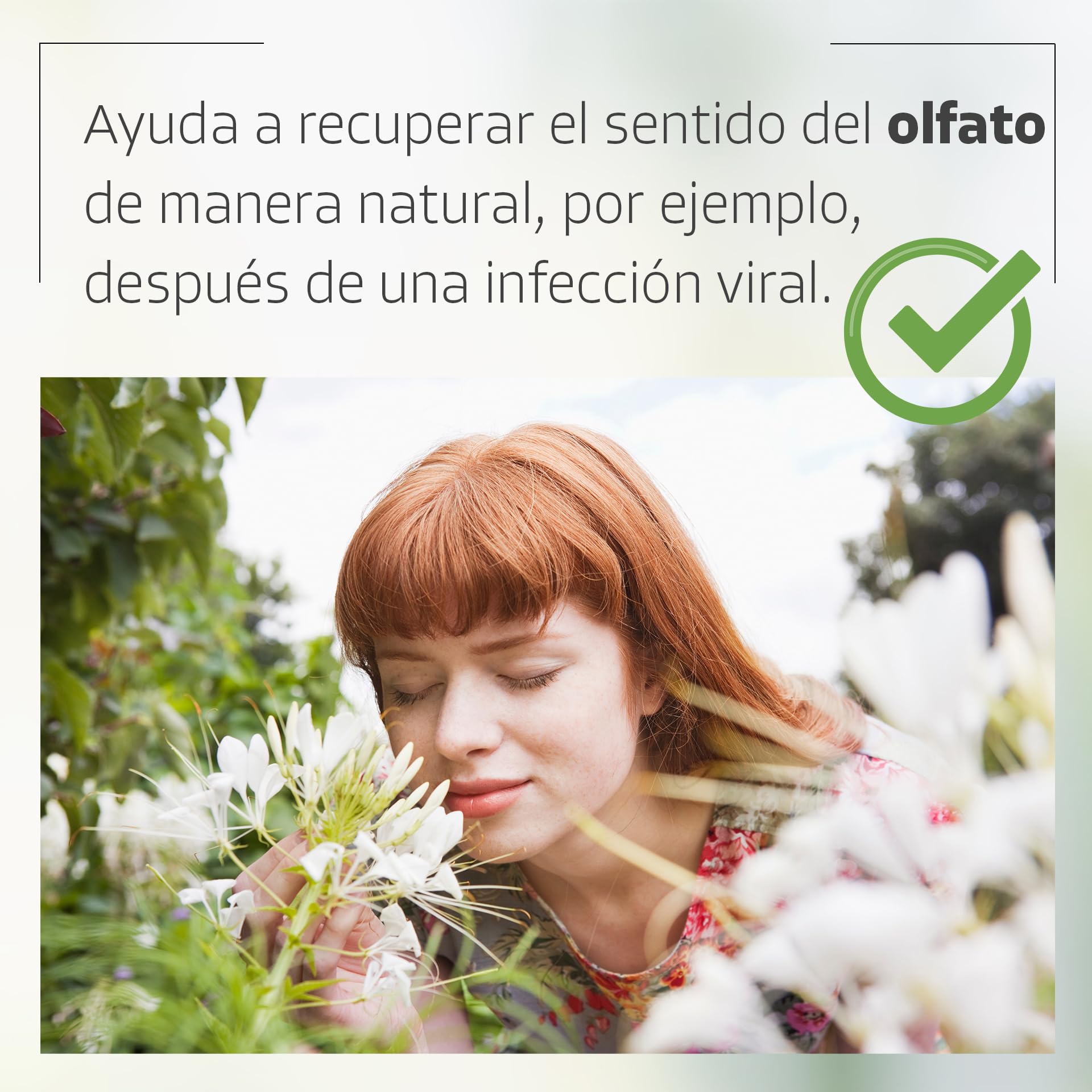SOS Kit de entrenamiento olfativo con frascos: Eucalipto, Rosa, Clavo, Limón – Entrena tu olfato y recupera los aromas – Ayuda contra la pérdida del olfato – 100% aceites esenciales