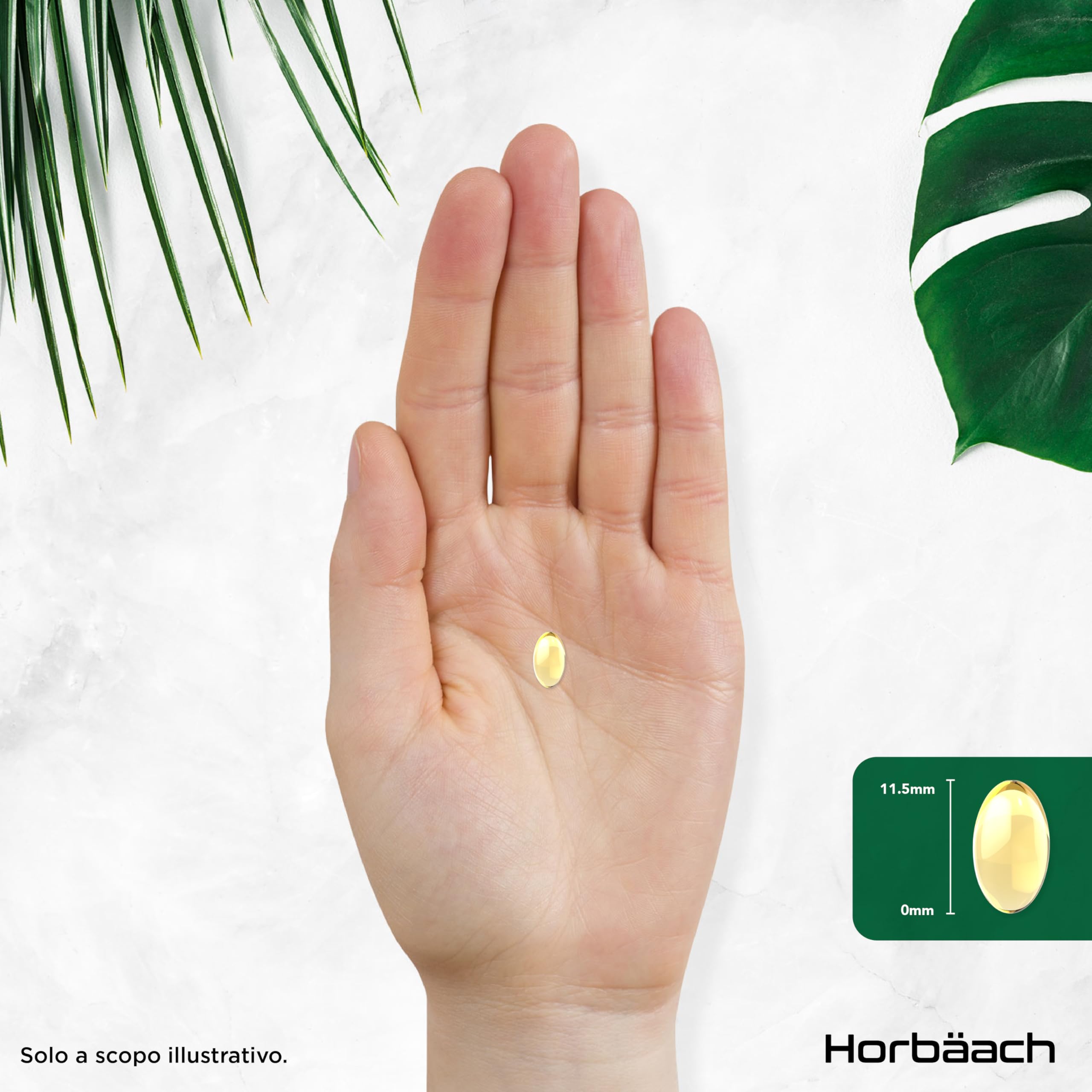 Aglio Capsule Inodore 15000mg | 180 Capsule Molli per 6 Mesi | Estratto di Aglio Deodorizzato ad Alto Dosaggio | Ricavato da Allium Sativum | Odorless Garlic Softgels | by Horbaach