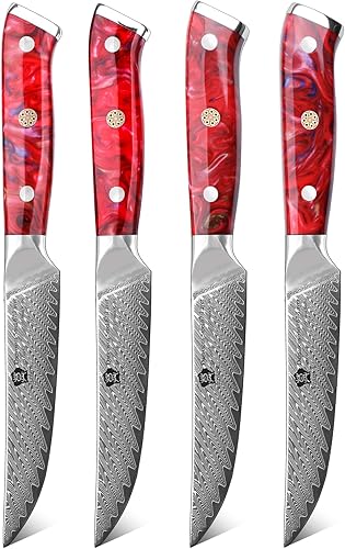 WILDMOK Cuchillos para carne, juego de 4 cuchillos de carne no dentados de 5 pulgadas, cuchillos japoneses de acero Damasco VG10, cuchillos de carne