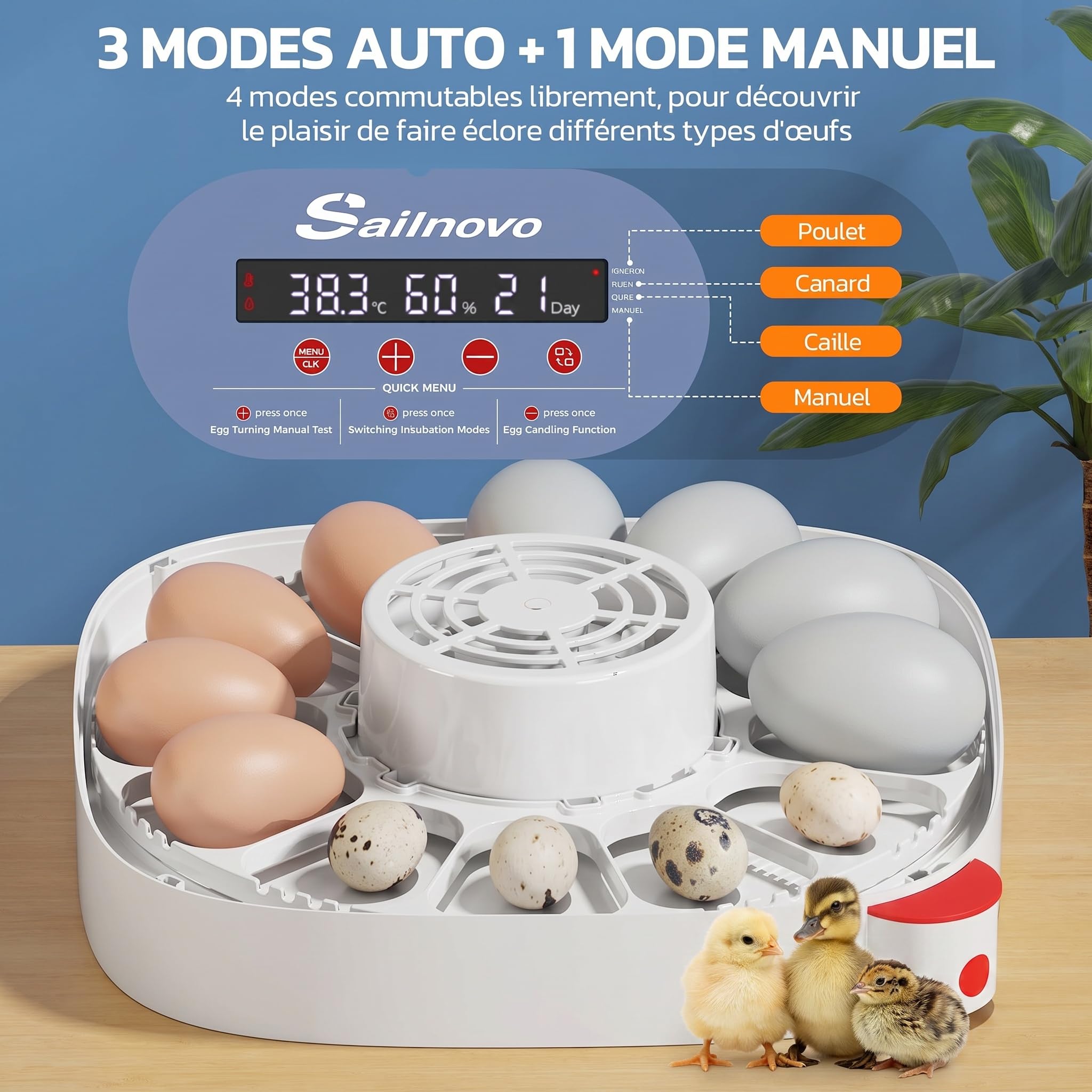 Sailnovo Couveuse oeuf automatique 12 œufs - Incubateur oeuf automatique vue 360°, 4 modes multi-espèces, Contrôle température, Retournement auto, Mire-Œufs Intégré (Bleu)