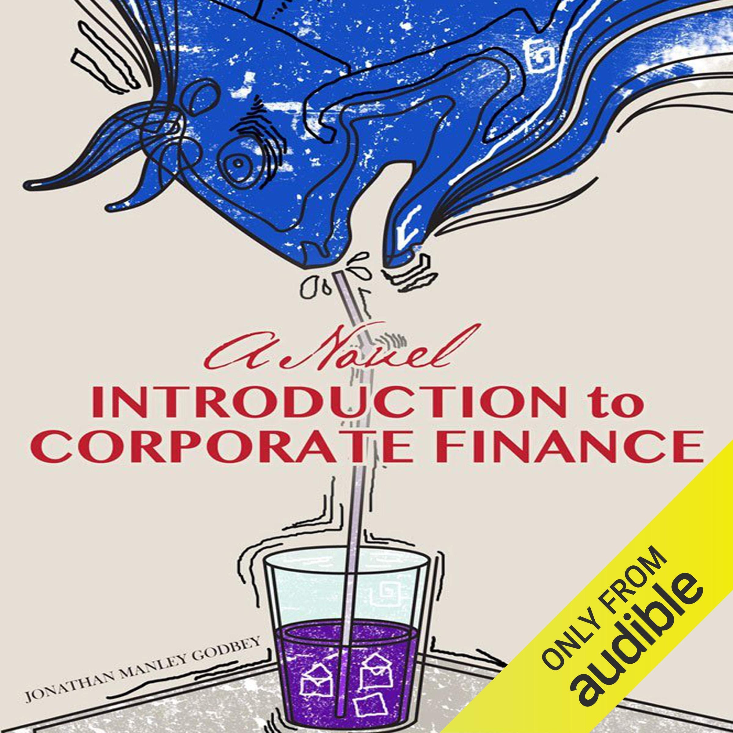 Cover art for A Novel Introduction to Corporate Finance