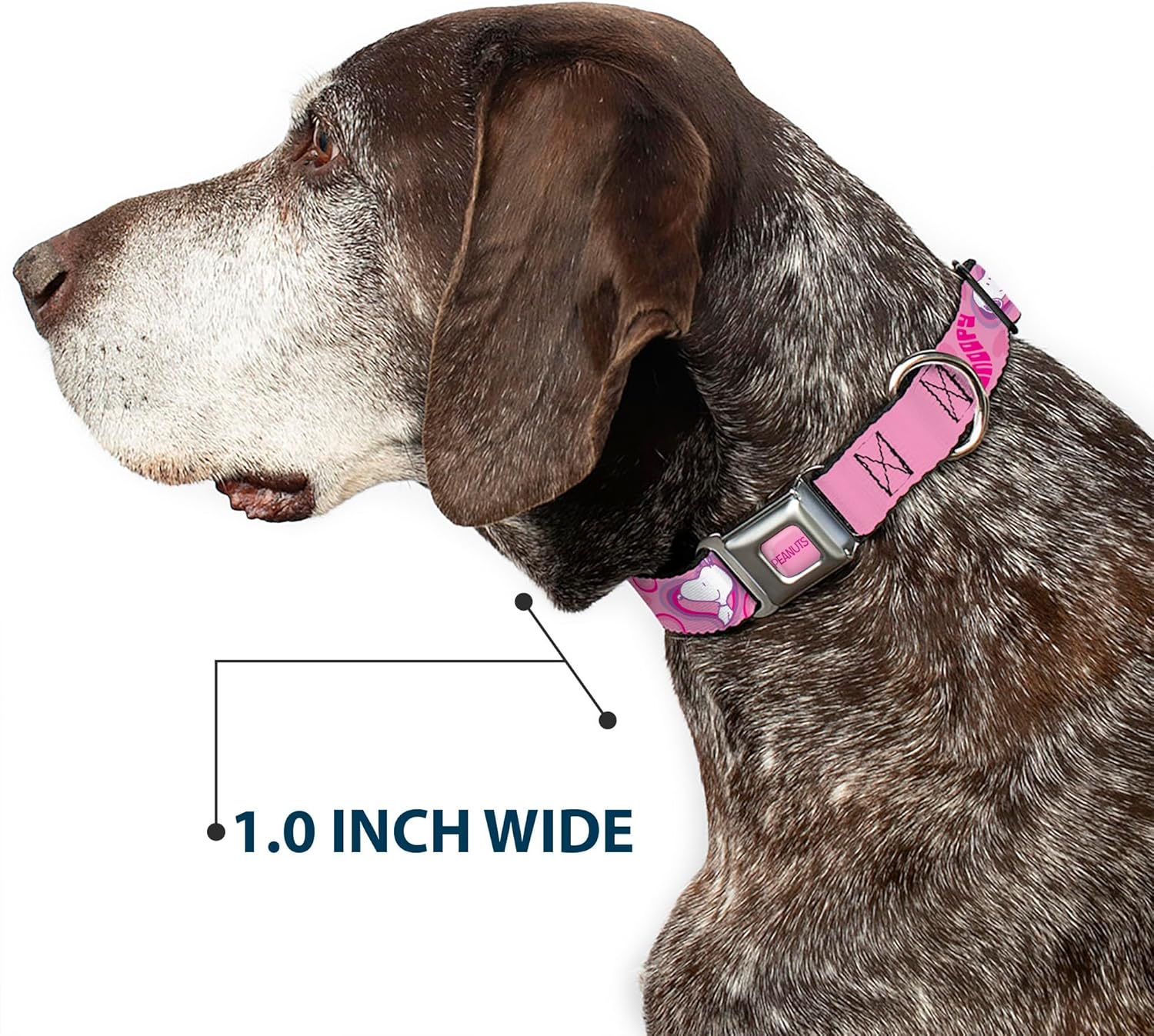 Peanuts Worldwide LLC Pet Collar, Dog Collar Metal Seatbelt Buckle, Peanuts Snoopy Valentine Hearts Pose and Text Pinks Lavenders, 15 to 24 Inches 1.0 Inch Wide