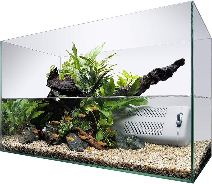 水槽セット〜熱帯魚、水草用に 2025年】初心者向けの水槽セットをプロが厳選｜選び方とサイズ別