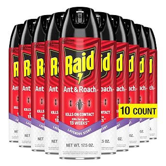 Raid Ant & Roach Killer Aerosol Spray Kills on Contact Keeps Killing for up to 13 Weeks Lavender Scent 17.5 Ounce Pack of 10
