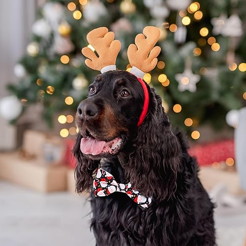 Miniatura 4 de Pajarita de Navidad para perro con collar, Papá Noel de vacaciones de invierno, collar de acebo para niños y niñas, cachorros grandes y medianos