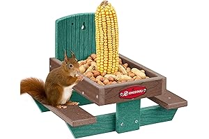 Kingsyard Squirrel Picnic Table: A Feast Fit for Your Backyard Friends