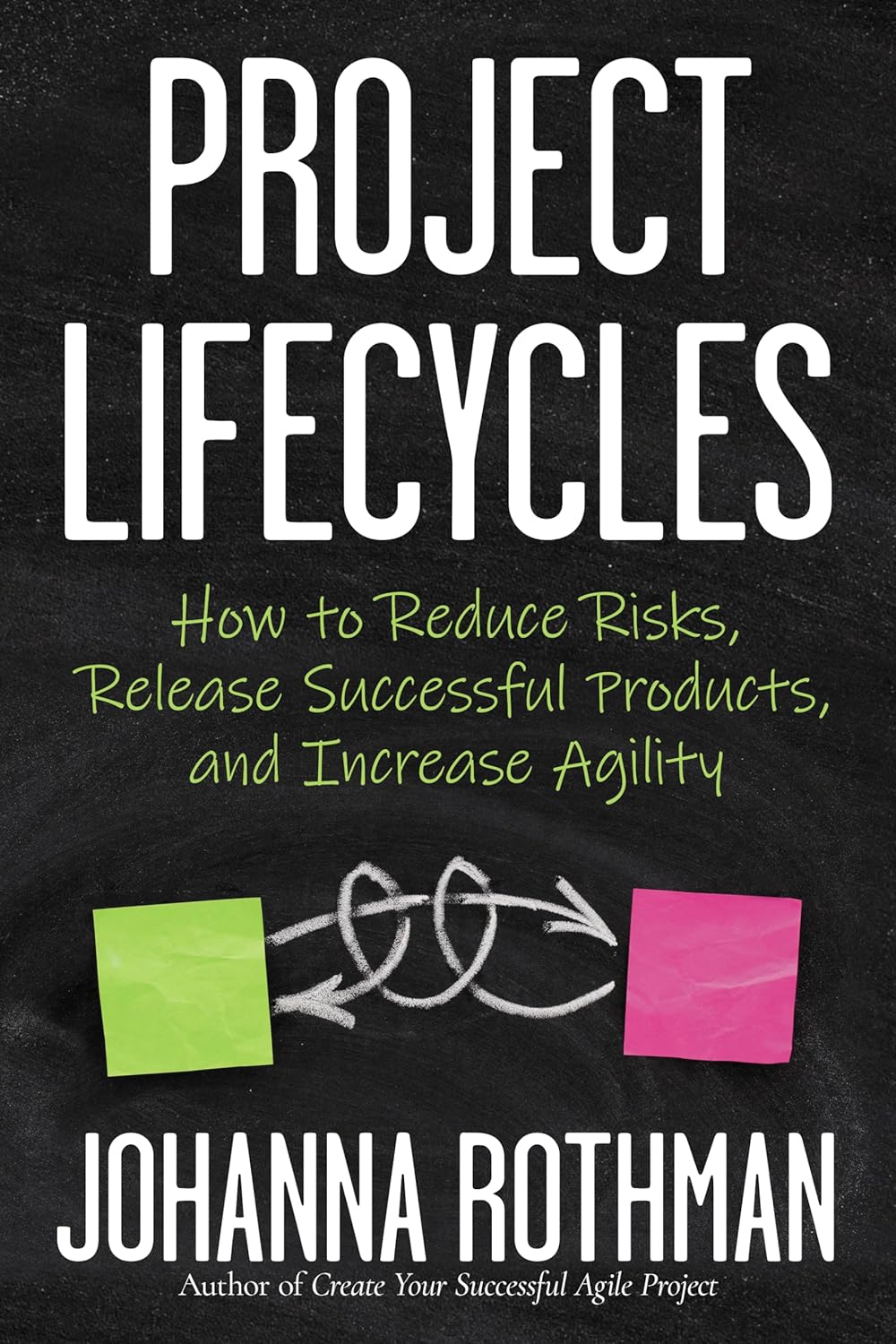 Project Lifecycles: How to Reduce Risks, Release Successful Products ...