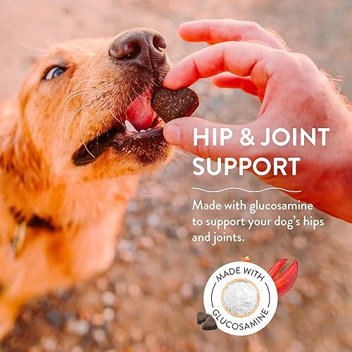 Vista 53 de Shameless Pets Golosinas suaves para perros, paquete variado de 5 unidades, masticables naturales y saludables para perros pequeños, medianos