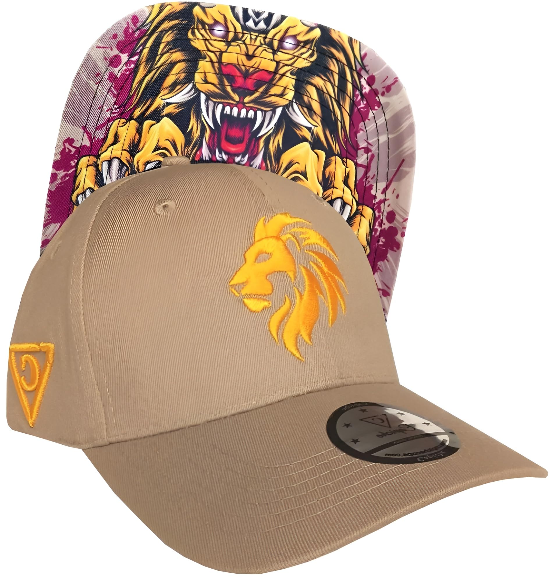 Capiche [99+ VARIACIONES] Gorra Snapback Nueva Colección Special Series Gris Oscuro — view 23
