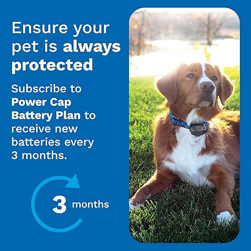 Miniatura 6 de INVISIBLE FENCE BRAND Power Cap Baterías para unidades de collar de computadora MicroLite y MicroLite Plus  También compatible con collares de perro