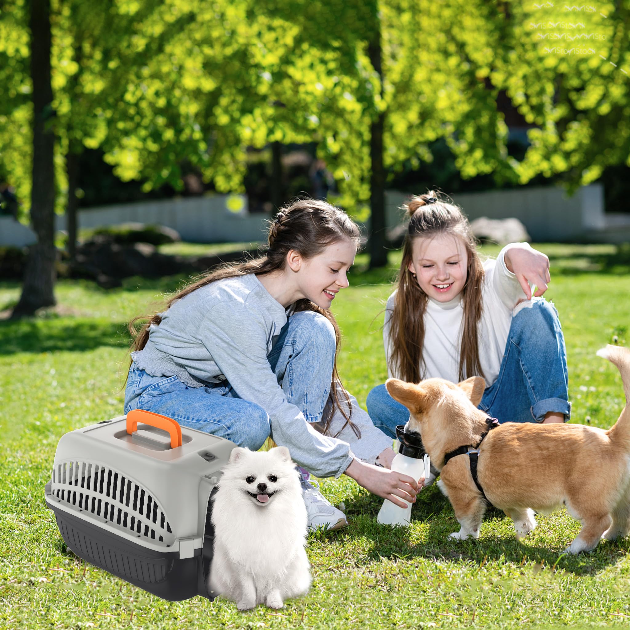 NAIZY Trasportino per cani e gatti, 48 x 32 x 32 cm, in plastica PP, con porta in ferro e prese d'aria, max. fino a 10 kg