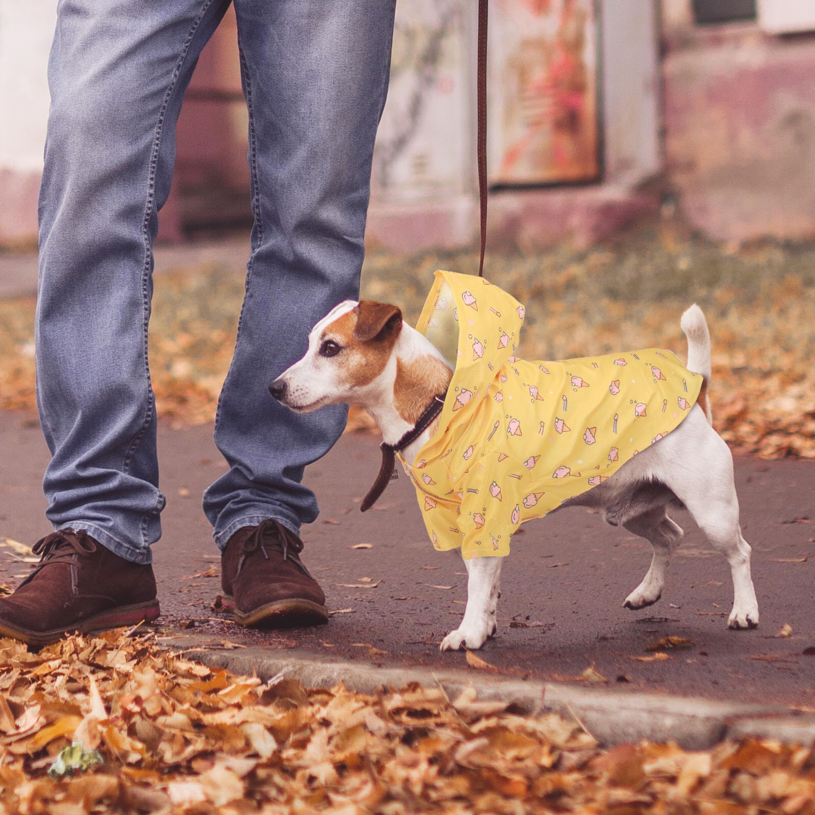 Lot de 2 Manteaux de Pluie imperméables et légers pour Chien avec Trou pour Harnais, Manteau de Pluie avec Capuche pour Chiens de Petite Taille 1-6kg (Jaune, M)