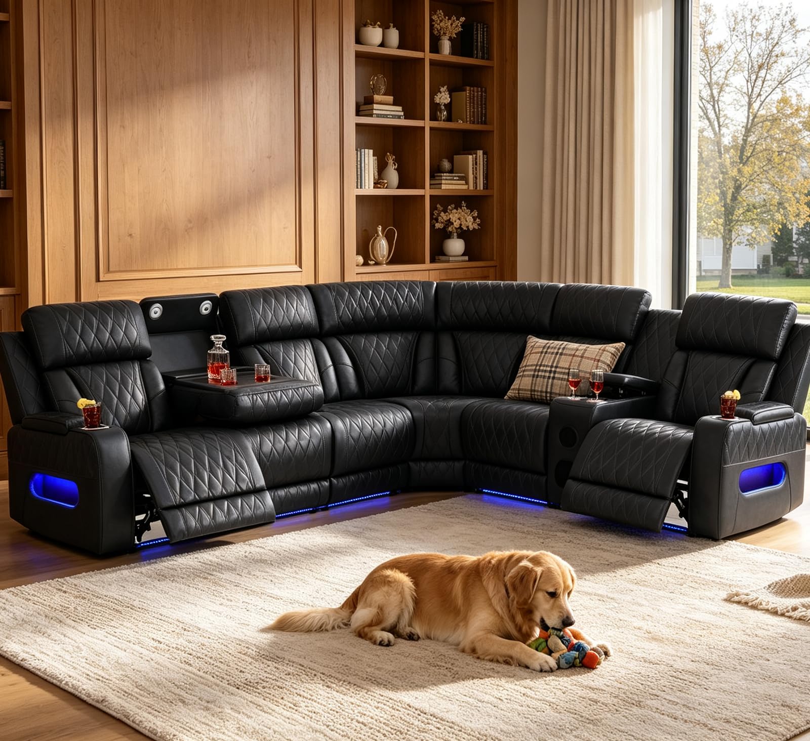 Blackish Gray / Sectional