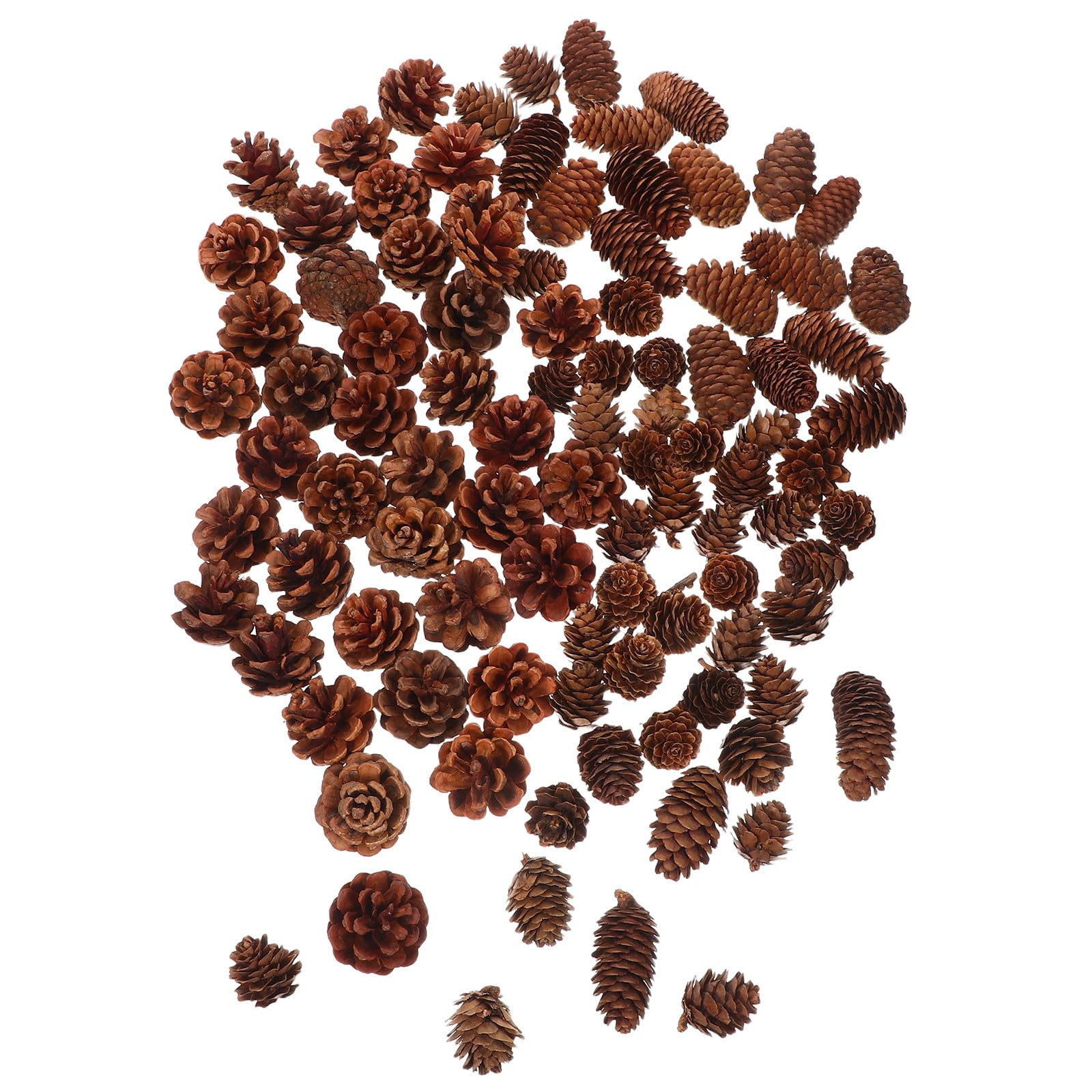 120 Pezzi Pigne Naturali Mini per Decorazioni Natalizie Rustiche, Riutilizzabili e Facili da Abbinare per Albero di Natale e Creazione di Ghirlande