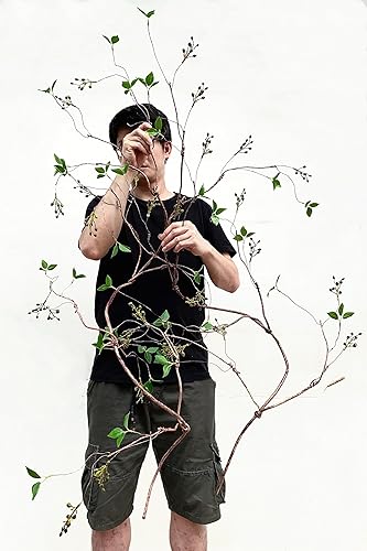 Miniatura 2 de Ramas de sauce rizado, enredaderas artificiales para árboles con frutas y hojas, tallos de plantas flexibles, ramitas de vegetación de la selva,