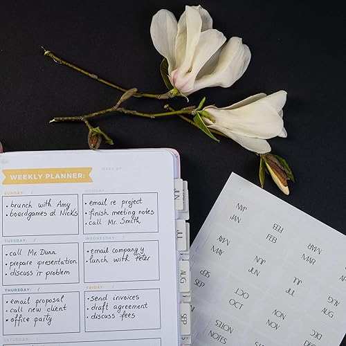 Miniatura 58 de DiverseBee - Agenda laminada, pestañas mensuales, 24 pestañas para cuadernos (pestañas de 12 meses y 12 pestañas en blanco), calendario mensual