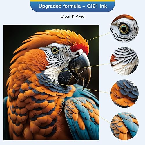 Miniatura 6 de GI-21 G3270 G3260 Botellas de tinta compatibles con Canon 21 GI-21 GI21 Juego de botellas de recarga de tinta, compatible con Canon MegaTank G3270