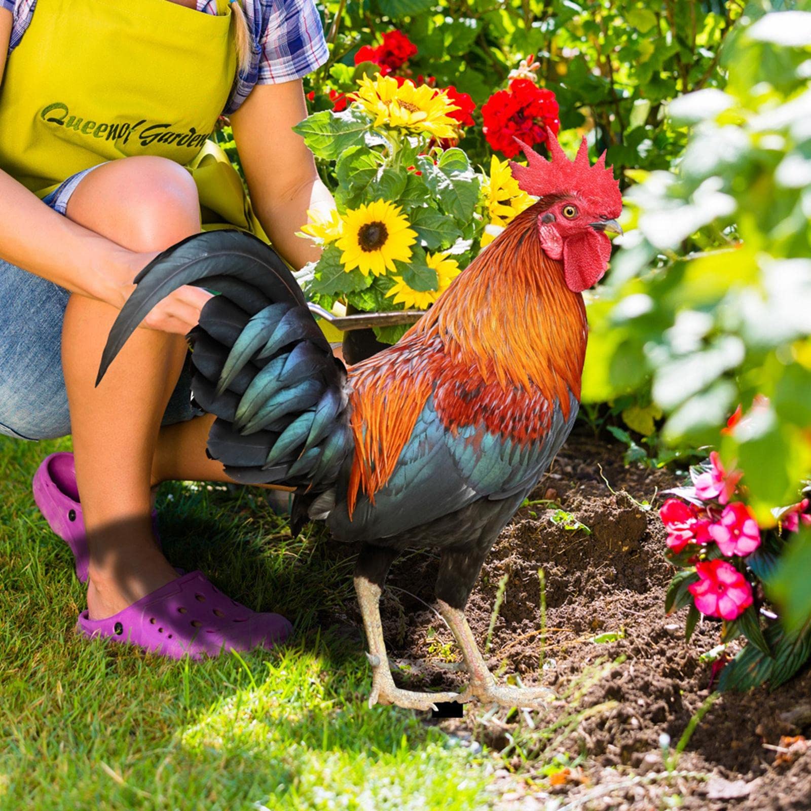 TOG Rooster Animal Statue Ornament Garden Stakes Standing Sculpture for Patio Color A and B|Home & Garden | Yard, Garden & Outdoor Living | Garden Decor | Statues & Lawn Ornaments-image-49