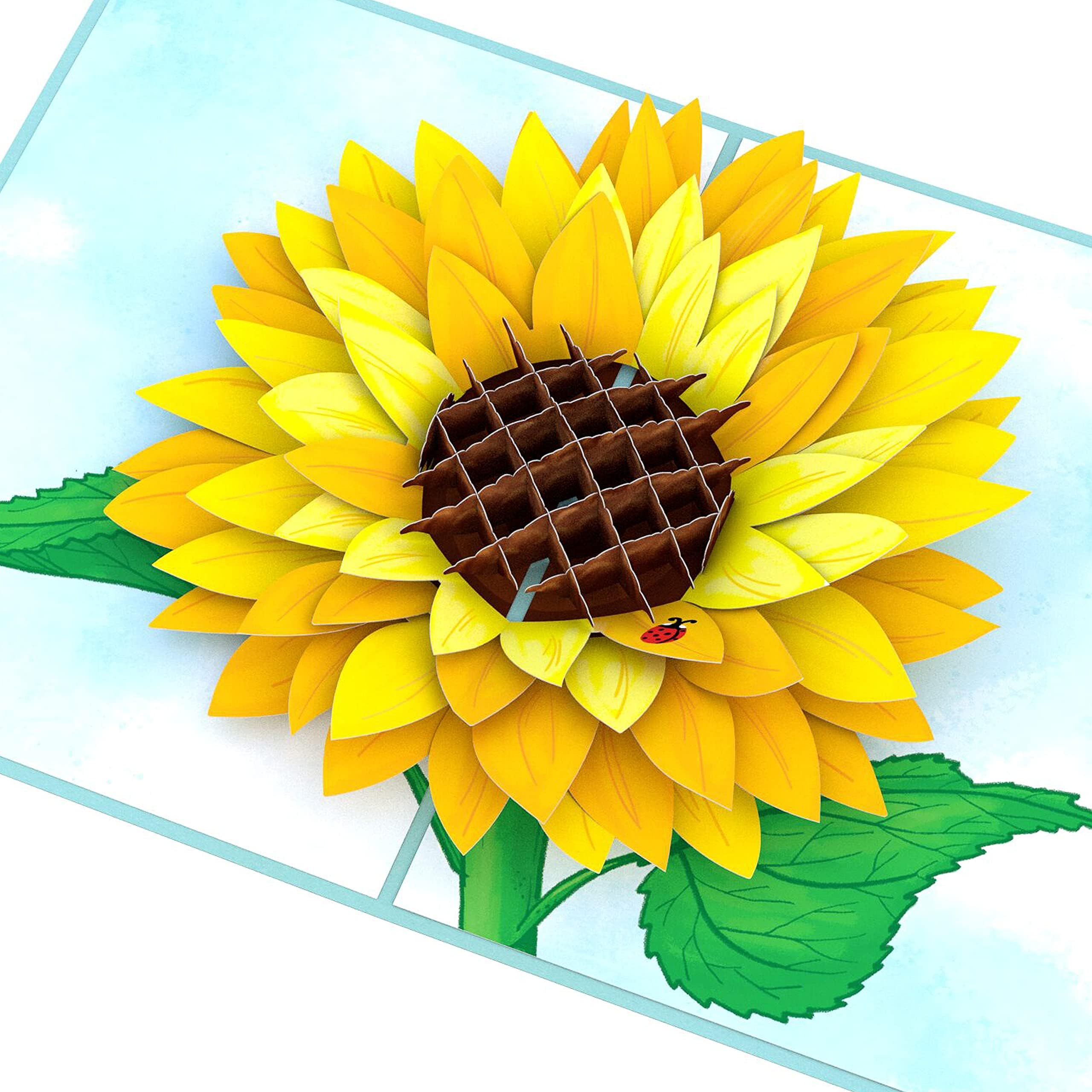 LovepopSunflower Bloom Pop Up Card, 5x7-3D Greeting Card, Pop Up Paper Flower Card for Mom, Anniversary Card for Wife, Paper Flower Card, Love Card, Thinking of You