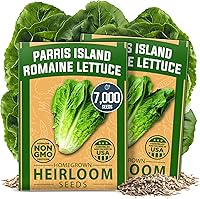 HOMEGROWN Parris Island Romaine Lettuce Seeds - 7000+ Heirloom Non-GMO Bulk Pack for Hydroponics, Indoor & Outdoor Gardens