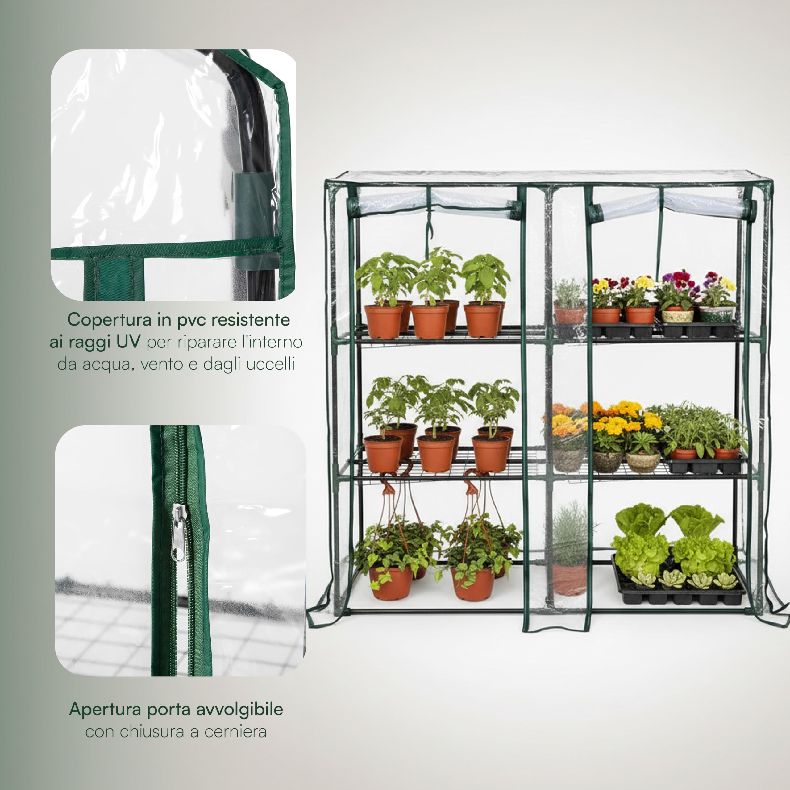 Baroni Home Serra da Giardino con Copertura in PVC Trasparente, Telaio in Acciaio Resistente, Porta Avvolgibile con Cerniera, Protezione da Pioggia, Vento e Uccelli (3 ripiani a muro)